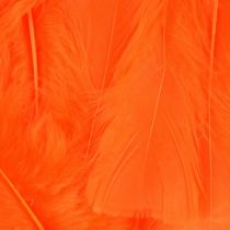 Orange Fluff Marabo Craft Feathers
