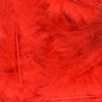 Red Fluff Marabo Craft Feathers