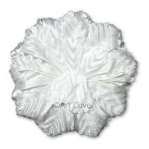 White Capia Flower