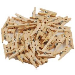 1 Inch Mini Wood Clothespins