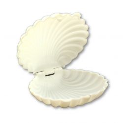 white seashell party favors
