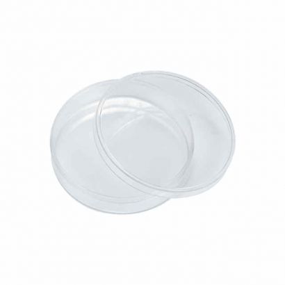 Small Clear Round Plastic Favor Container Box