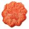 Orange Capia Flowers Flat Carnation Capia Base