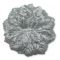 Silver Capia Flowers Flat Carnation Capia Base